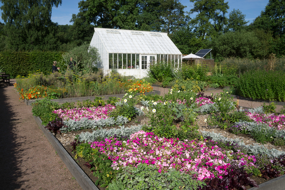 blommor utanför växthus