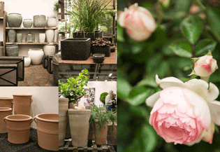 På besök i jönköping på Elmia Garden 2016, växthusinspiration, trendspaning, Sweden Green House
