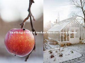 Juläpple och växthus i vinterljus med God Jul hälsning