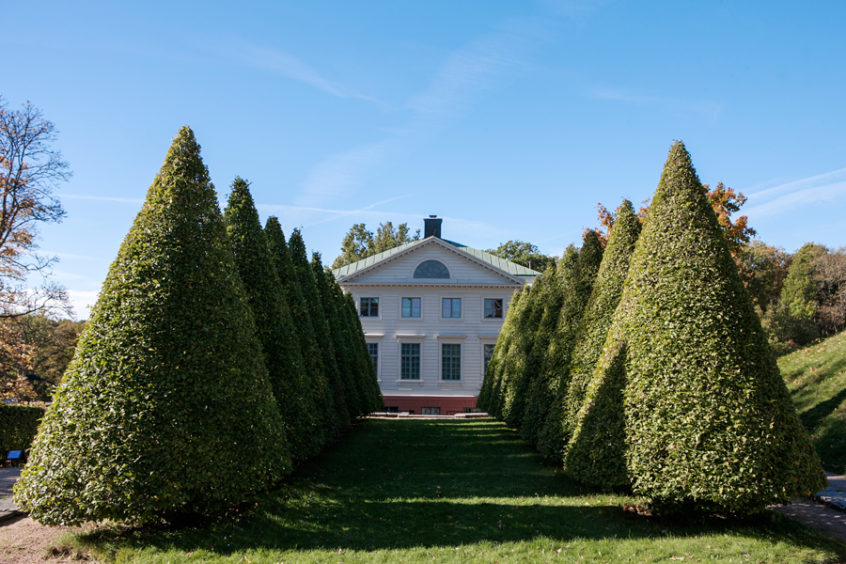 Slottsbyggnad bakom idegransallé.