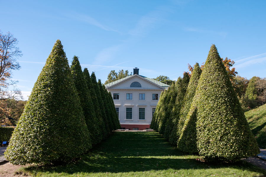 Slottsbyggnad bakom idegransallé.