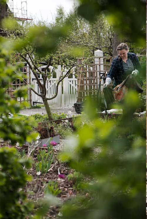 Kvinna jobbar i trädgården
