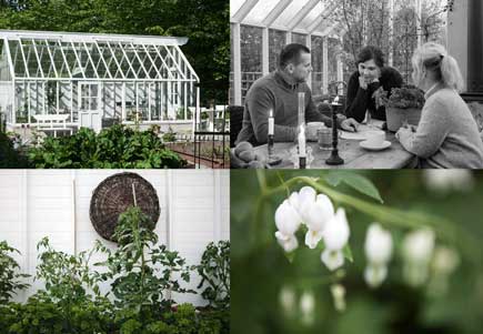 växthus, jordbäddar, swedengreenhouse medarbetare och en kvist med vit löjtnantshjärta i i fyra bilder som sitter tillsammans.