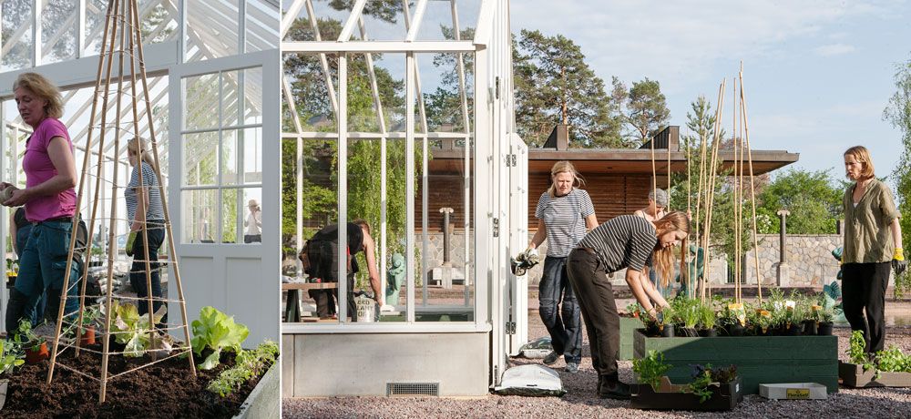 Plantering pågår i växthuset på Millesgården