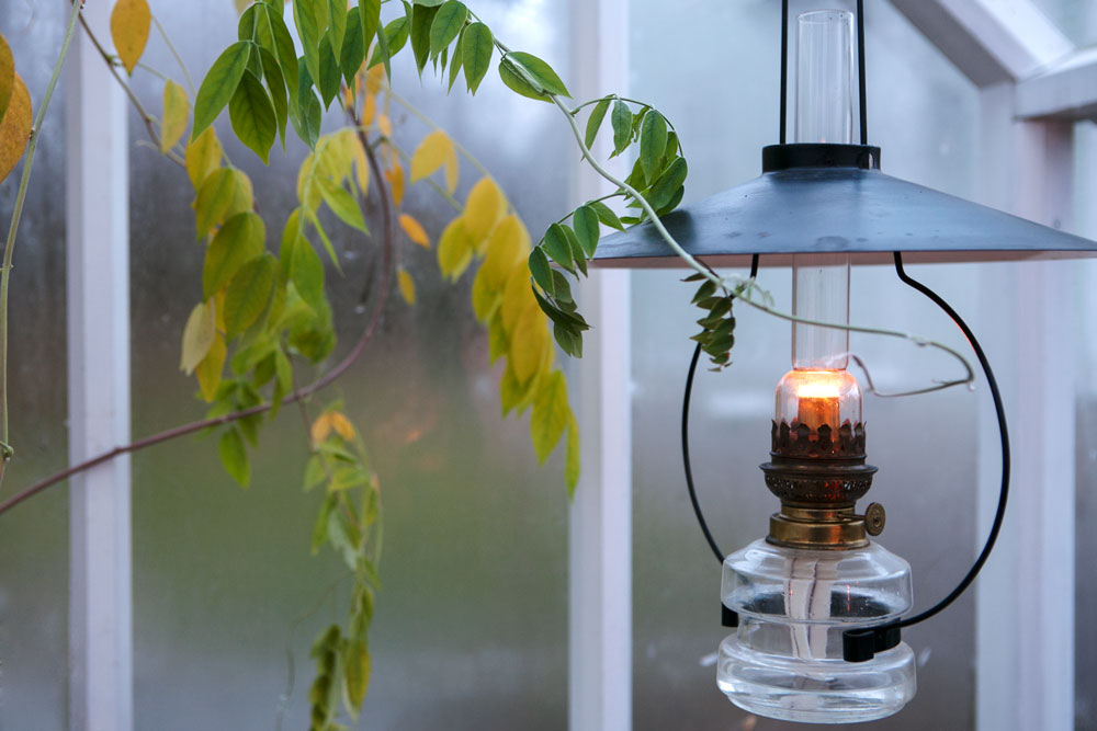 Tänd fotogenlampa i växthus