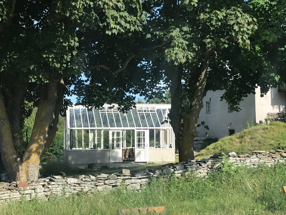 Växthus under två träd.