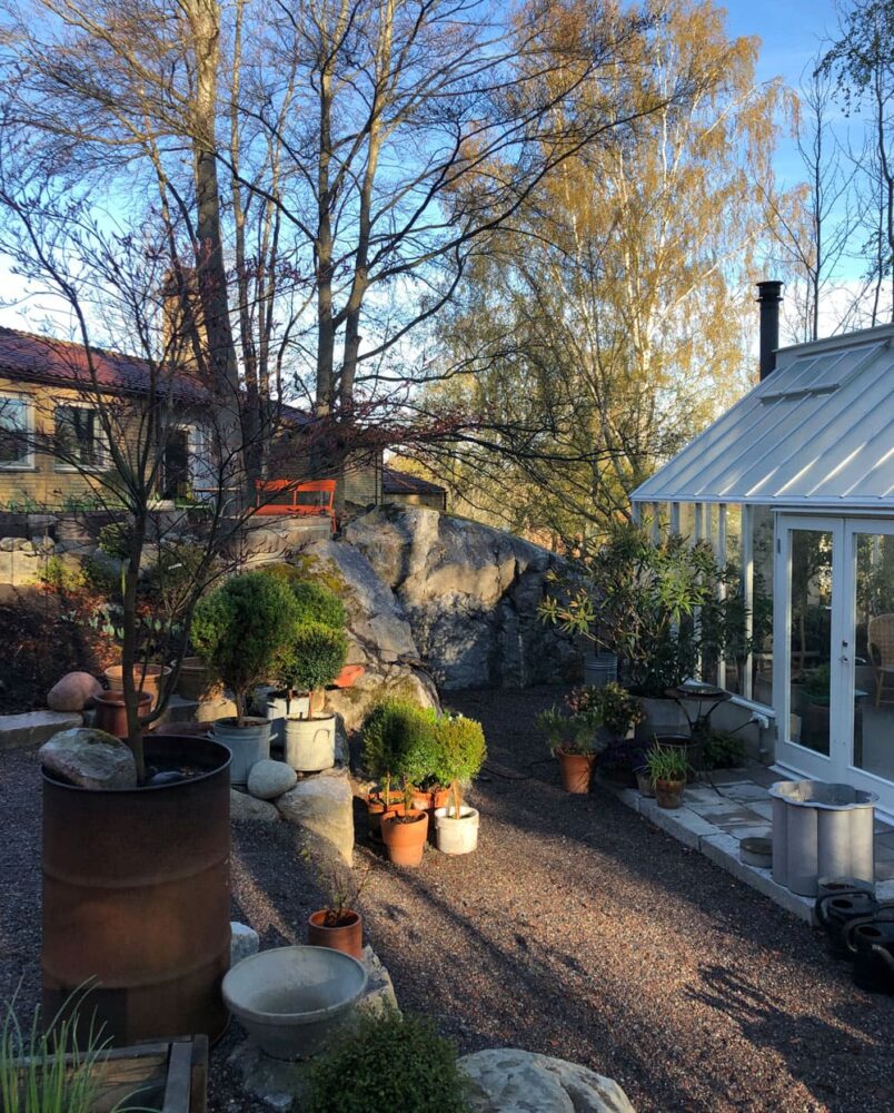 Växthus i kvällsljus.