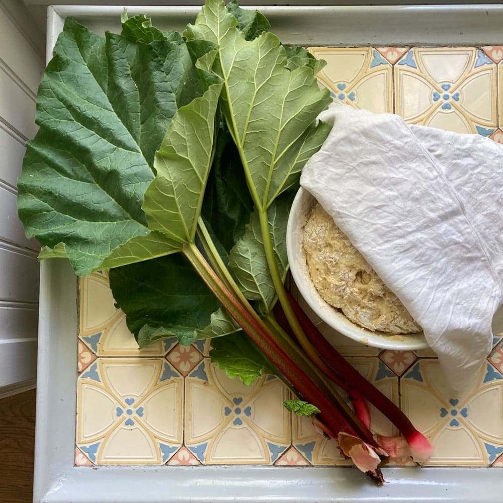 Raberstjälkar vid sidan av en bulldeg i bunke.