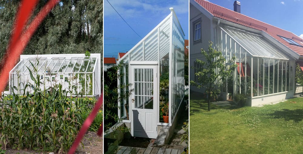 Tre växthus med pulpettak.