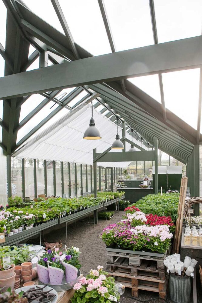 Blommor i ett långt växthus