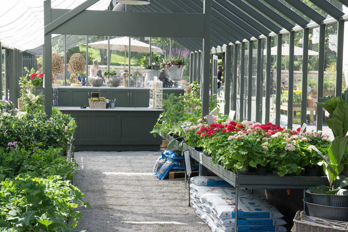 Ett stort växthus inifrån med många blommor
