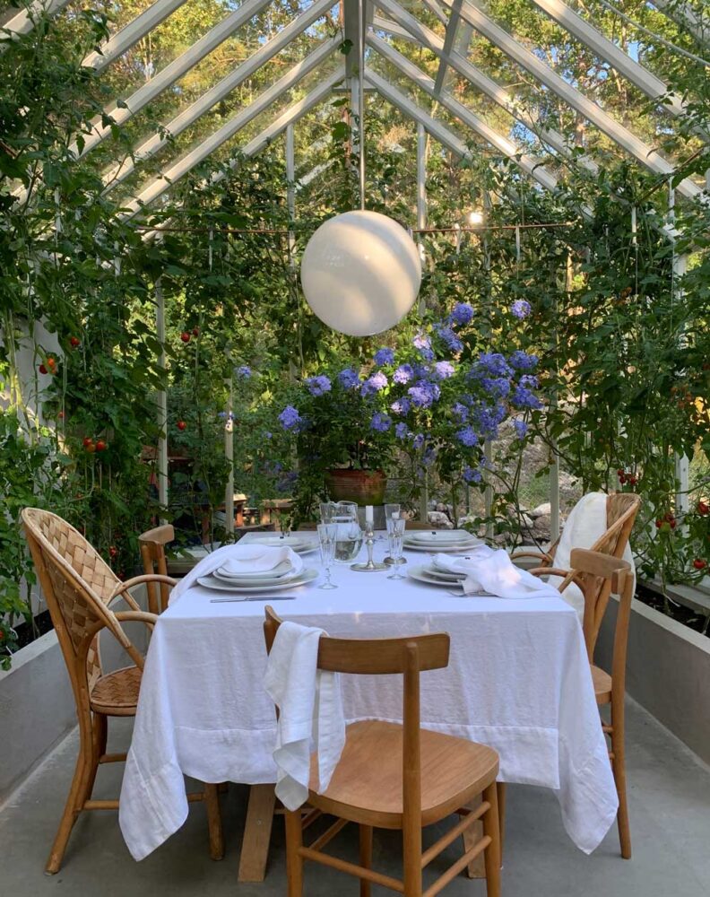 blå blyblomma på dukat bord i växthus.