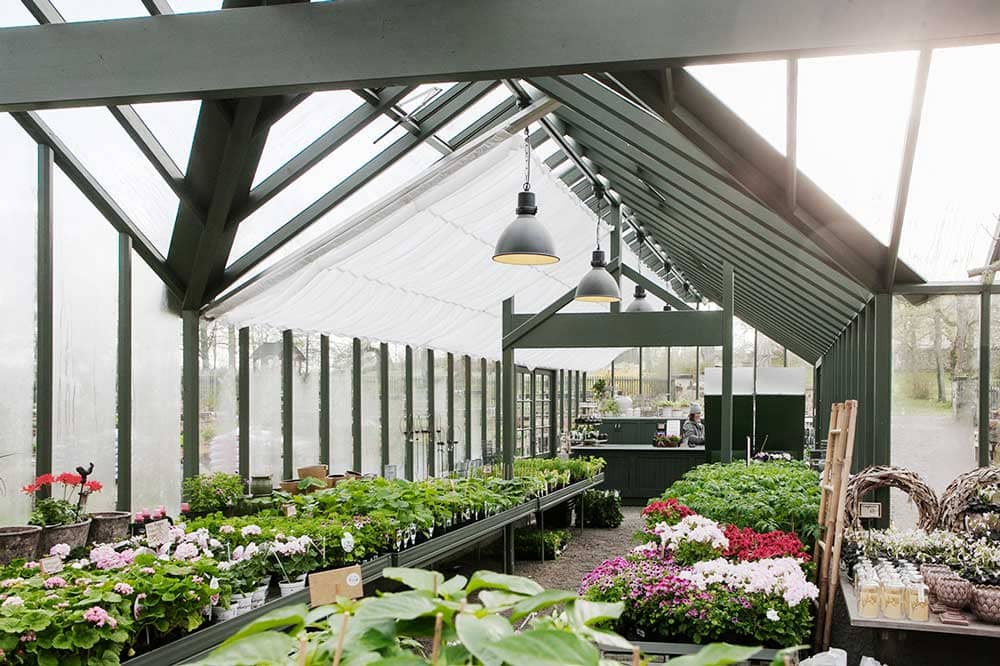 Interiör av stort grönt växthus i vinkel.