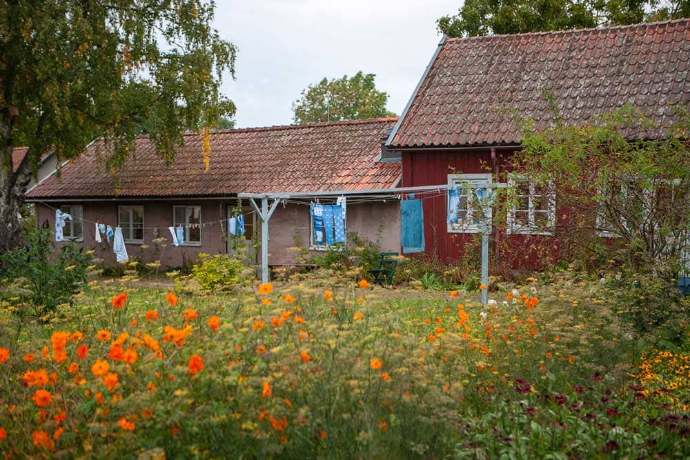 Blommand rabatt framför rött hus.