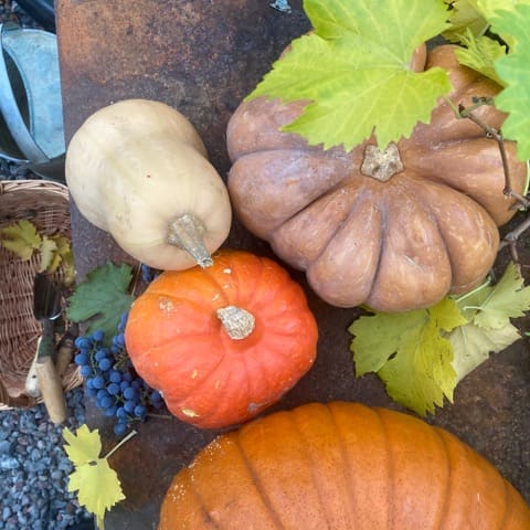 pumpor pa bord i vaxthus.