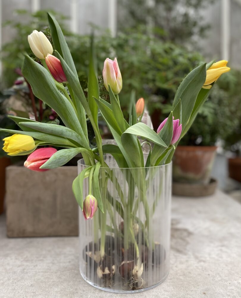 Blommor i glas