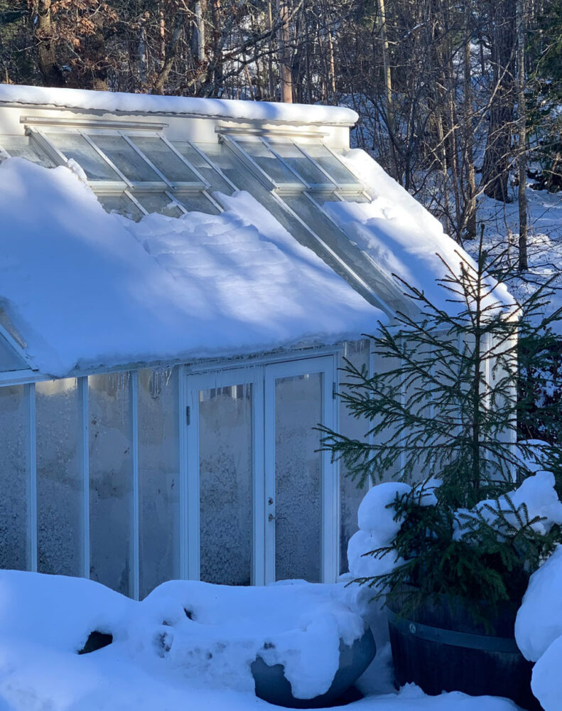 Växthus täckt med snö och is.