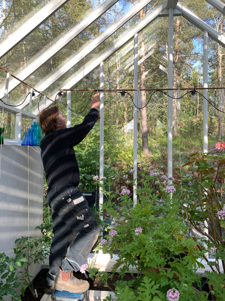 tomat växter i växthus med man som arbetar