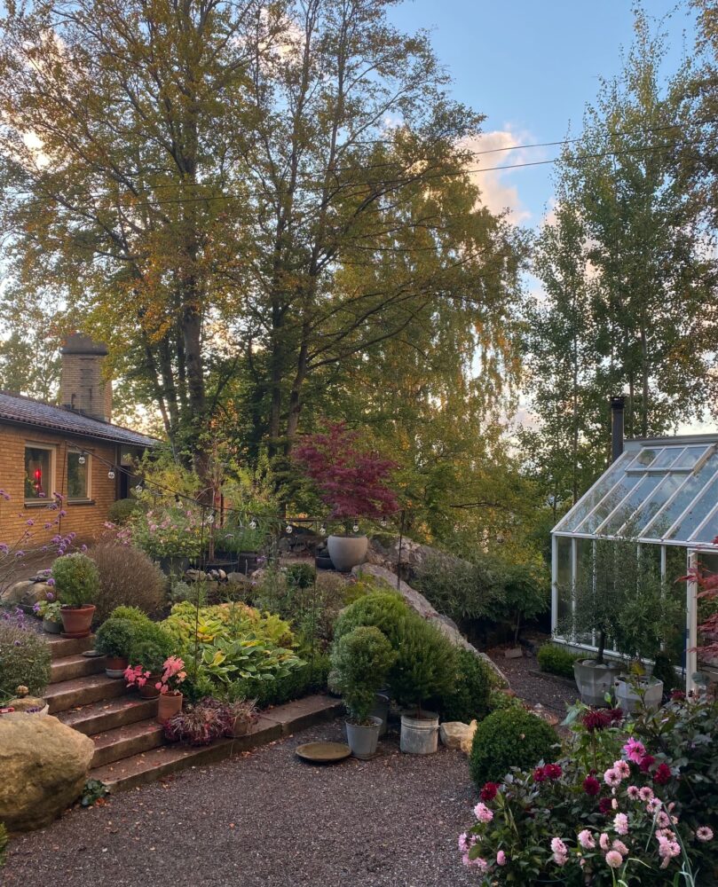Trädgård i höstskrud.