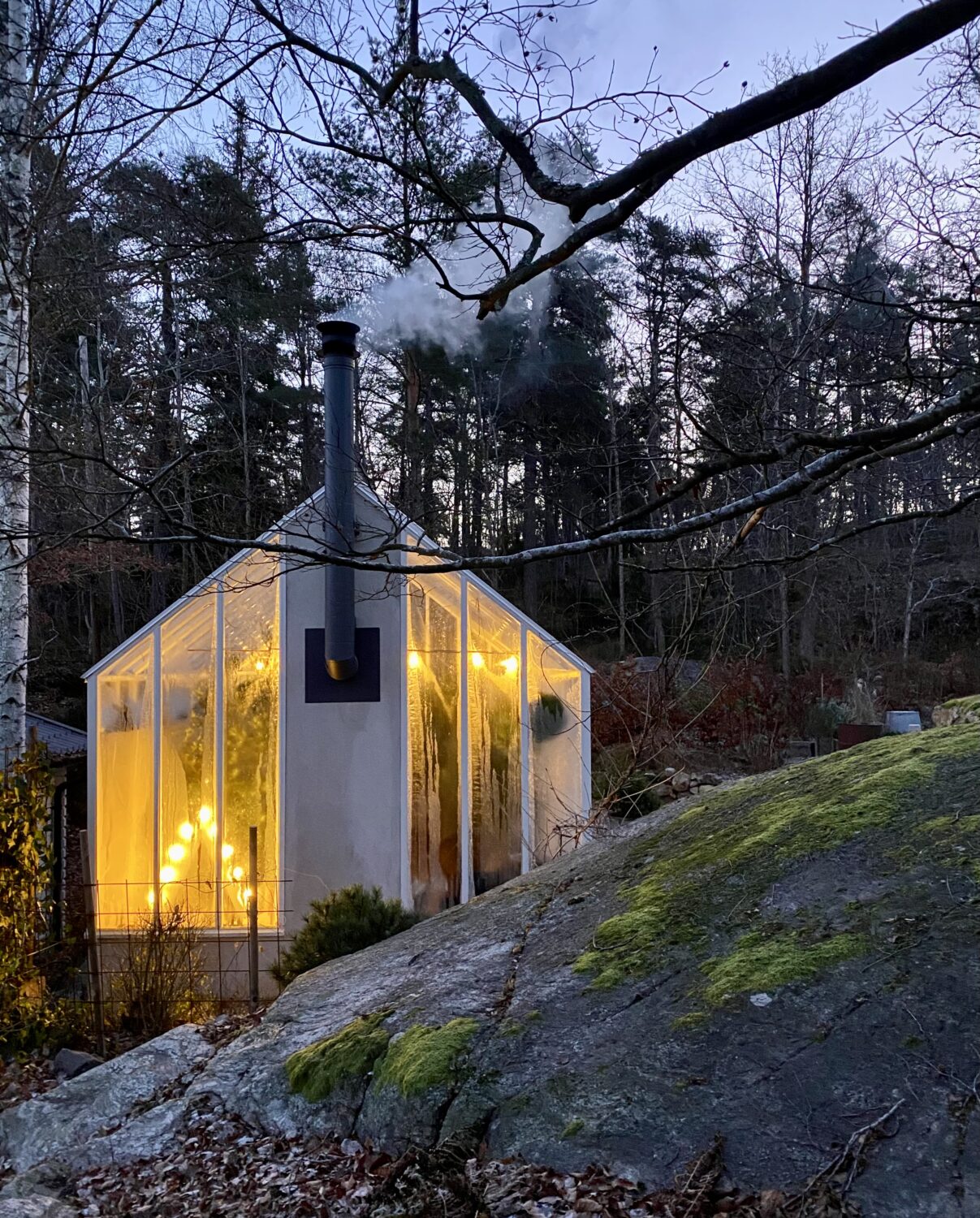 Tänd adventsljusstake i växthus.