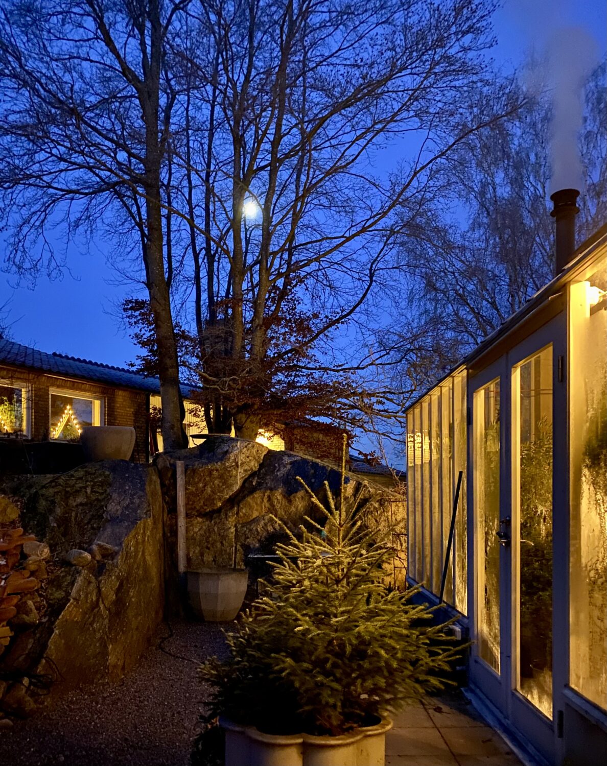 trädgåd med växthus i kvällsljus.