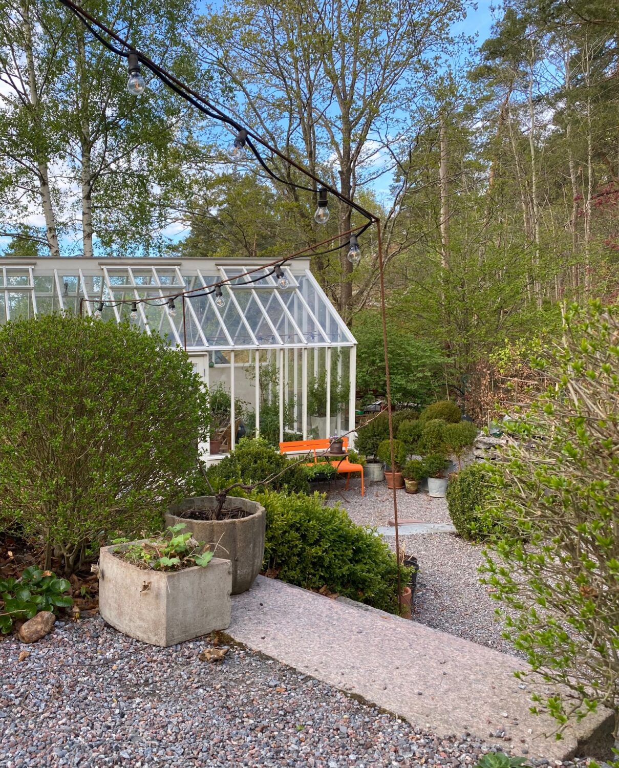 Växthus i trä