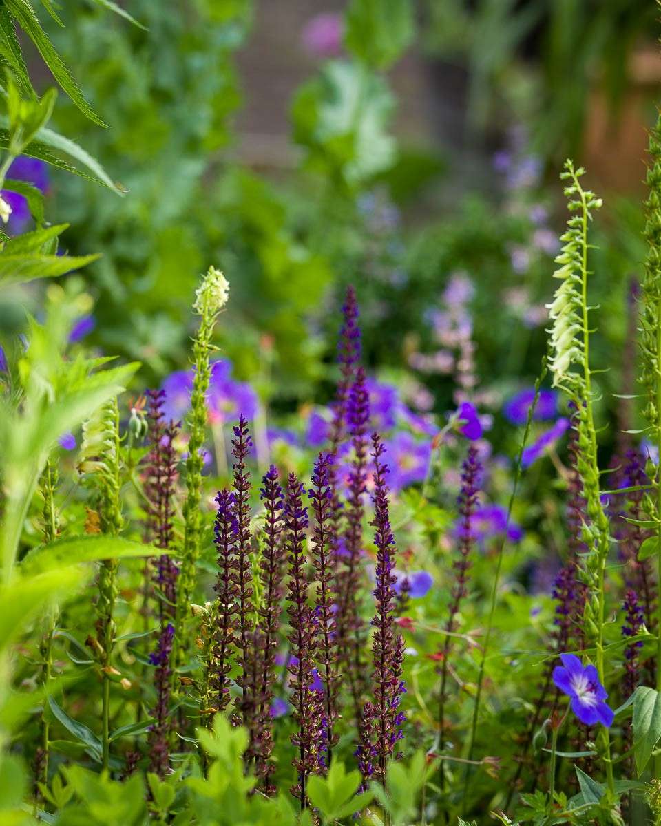 Kenn Garden1