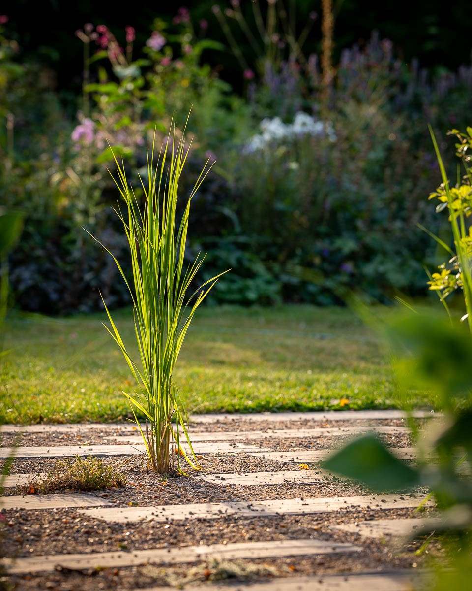 Kenn Garden2