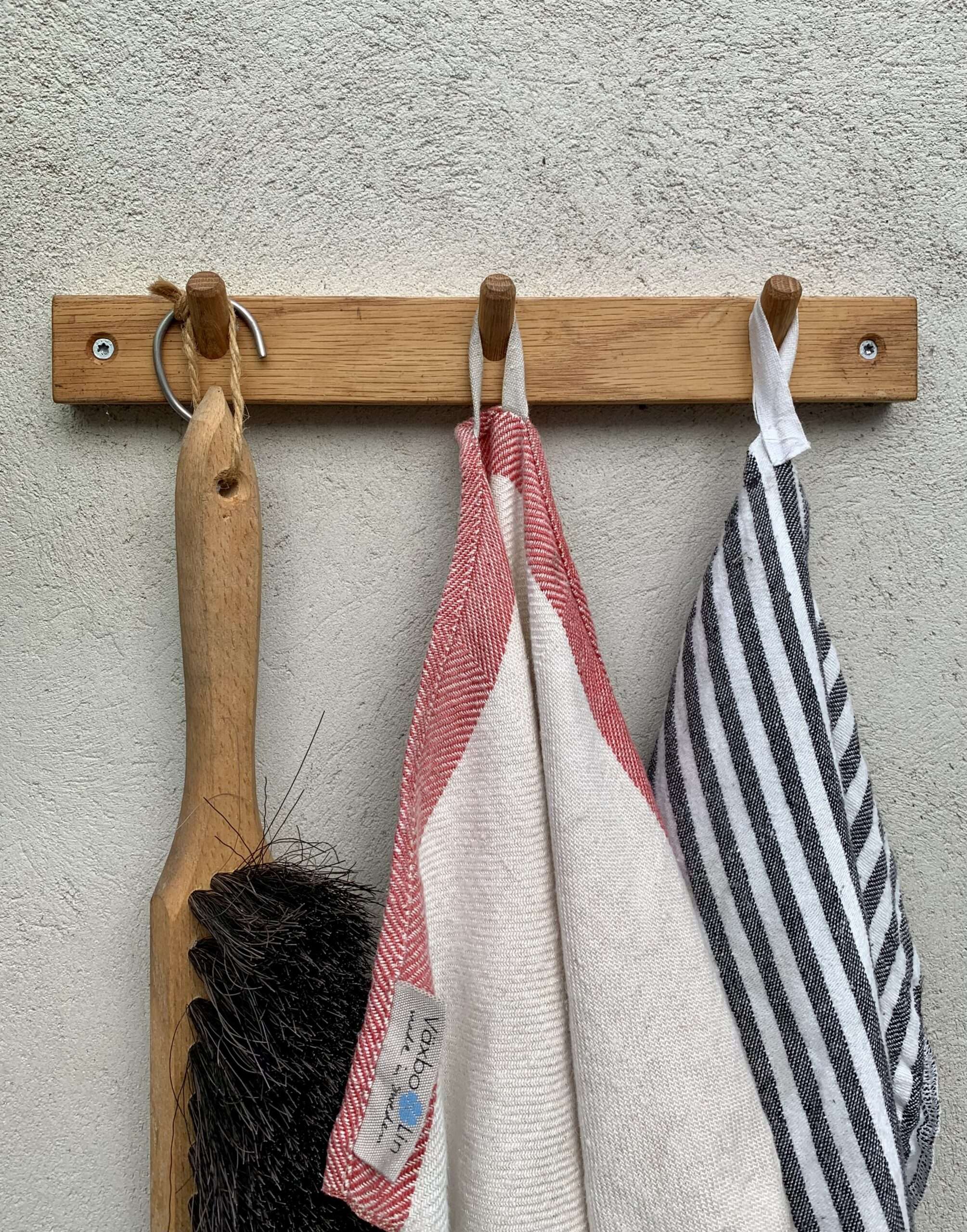 Jätteverbena från Impecta fröhandel.