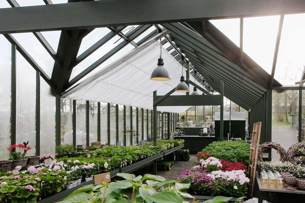 Interior Vaxthus Lovstad