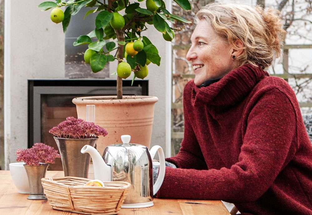 Växthus med sadeltak i en trädgård