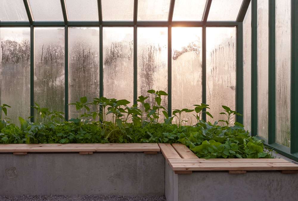 Upphojda Odlingsbaddar Capellagarden