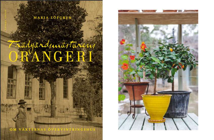Bok om orangerier och dess växter.