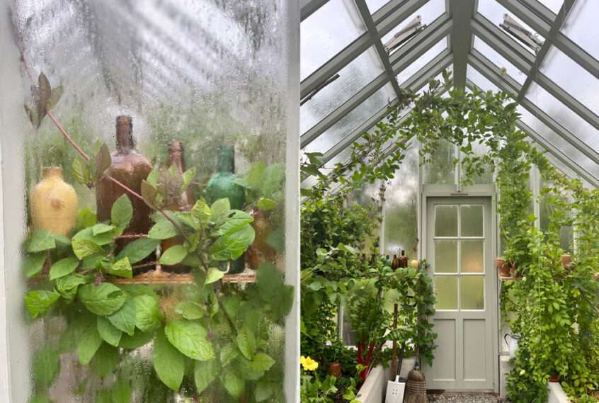 Sweden Green House Karins Växthus