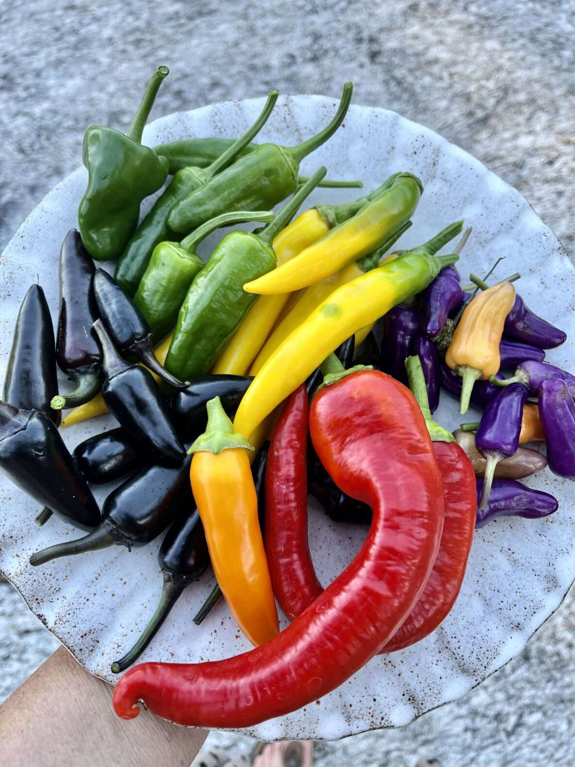 Chilifrukter på fat